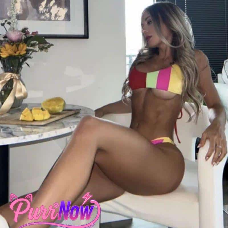PurrNow Nashville - Nova
